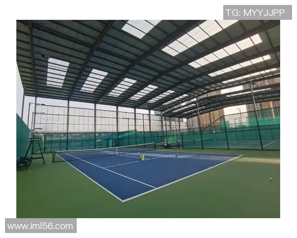 成都网球队的意识探讨与发展现状分析聚焦网球运动的未来之路 成都网球队的意识探讨与发展现状分析聚焦网球运动的未来之路