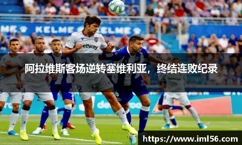 k1体育