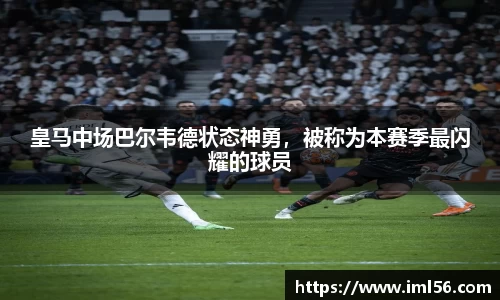 k1体育