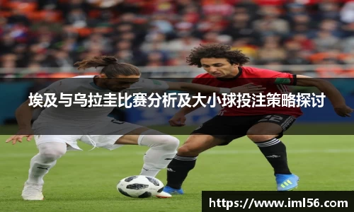 埃及与乌拉圭比赛分析及大小球投注策略探讨