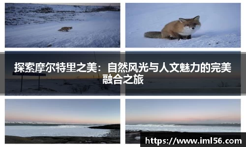 k1体育官网